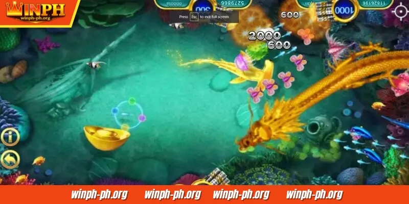 Barilan ng Isda WINPH ay may matalinong gameplay na kailangan mong malaman